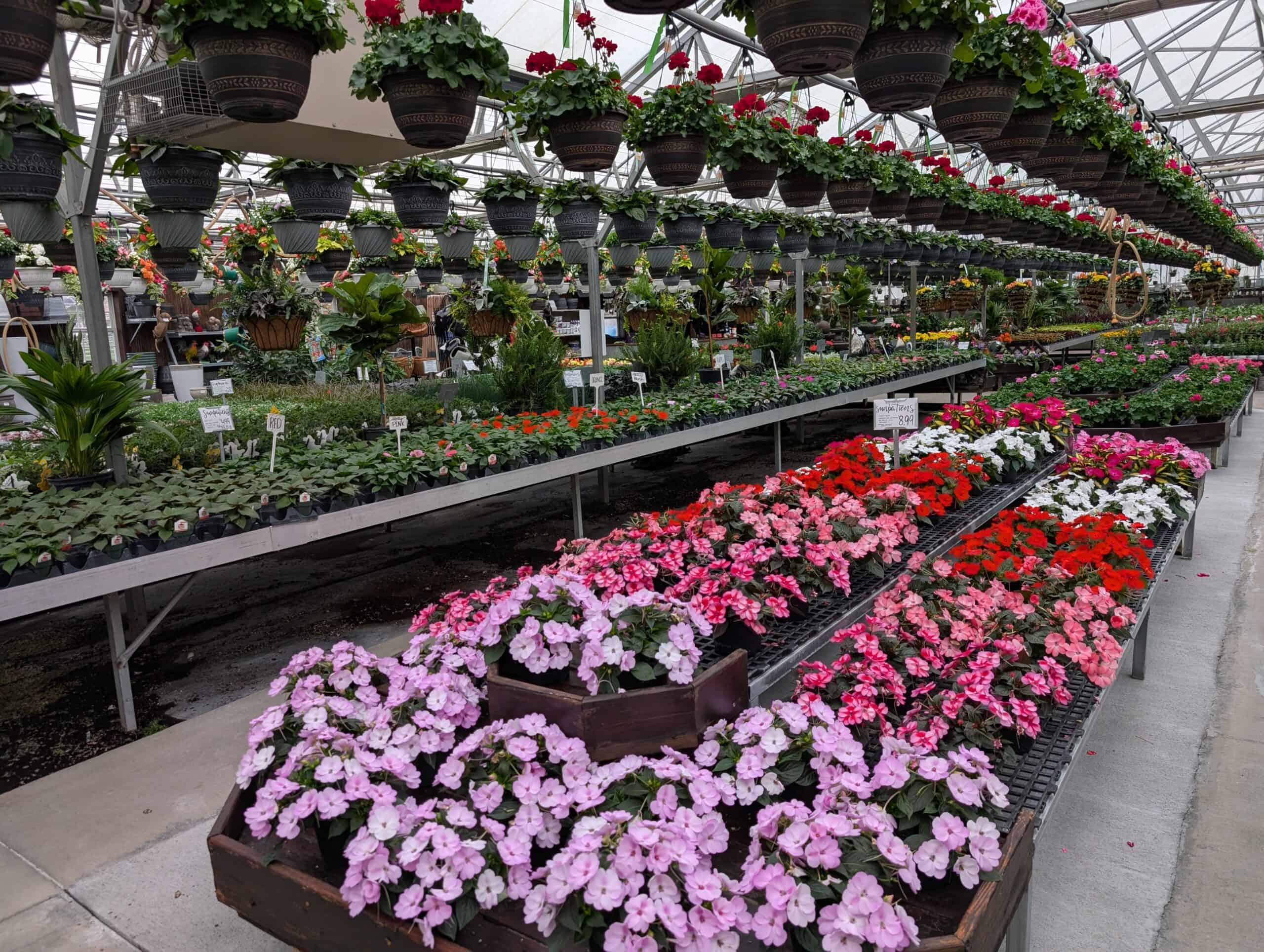 Greenhouses Greenhouses